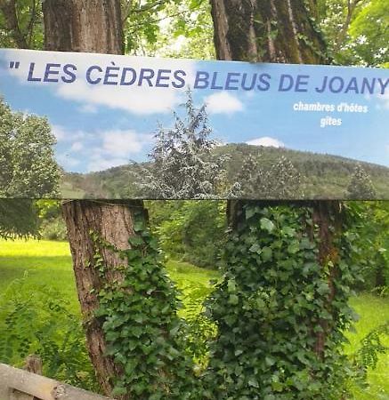 Cedres Bleus De Joany Chez Nathalie Viviez 外观 照片