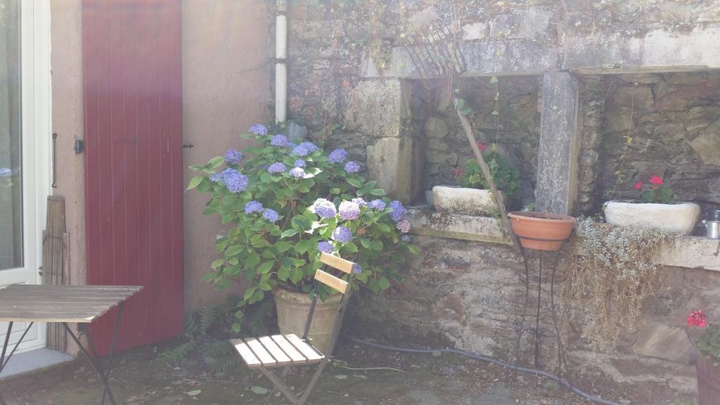 Cedres Bleus De Joany Chez Nathalie Viviez 外观 照片